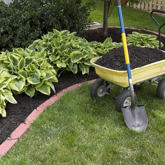 Fantastic Deal - 12 Bare Roots Hosta Plants - Mixed Heart-Shaped Hosta - Rich Green Foliage, Low Maintenance, Heart Shaped Leaves - Indoor and Outdoor