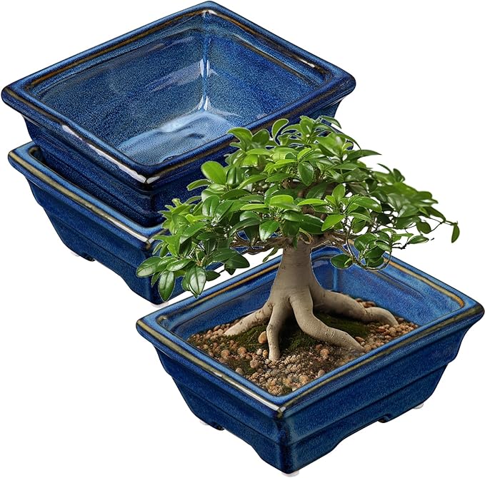 Bonsai Pots Shallow Succulent Planters for Live Bonsai Trees Set of 2, 6.3" Ceramic Pot for Succulents Indoor with Drainage Hole, Outdoor Cactus Plant Bonsai Pot，Ceramic Flower Pot