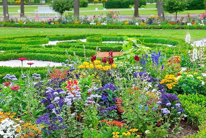 10000+ Perennial Mix Wildflower Seeds 16 Assorted Varieties of Heirloom Flower -1oz Zinnia Poppy Crimson Clover Milkweed Lupine Marigold Mexican Hat Sage Nasturtium