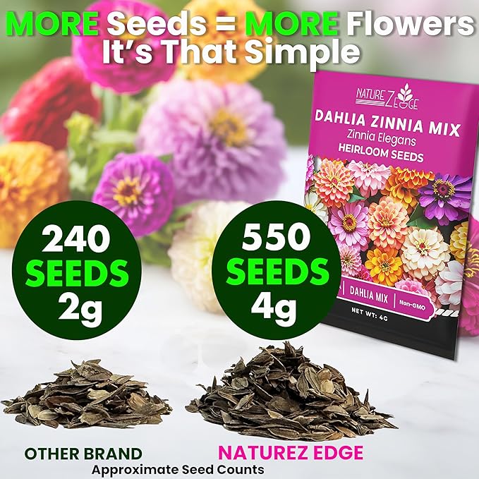 NatureZ Edge Zinnia Seeds for 2025 Planting Outdoors, Over 550 Flower Seeds, 4g, Non GMO Made in USA, Bulk Semillas De Flores para Sembrar, Dahlia Mix, Easy to Grow Zinnia Seed Mix