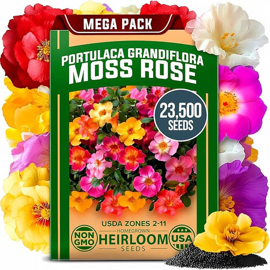 HOME GROWN 23,500+ Moss Rose Seeds (Bulk Pack) Annual Flower for Ground Cover - Heirloom 𝗡𝗢𝗡-𝗚𝗠𝗢 Portulaca Seeds for Planting Outdoors - Great for Low-Maintenance Gardens (Portulaca grandiflora)