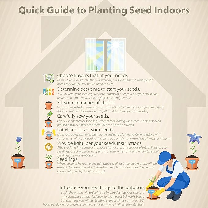 Outsidepride Yellow Torch Mexican Sunflower Seeds - 1000 Pcs Annual, Easy-to-Grow, Yellow Tithonia Speciosa Flower Seeds w/Drought-Tolerant Blooms for Pollinator Gardens & Vibrant Summer Landscaping