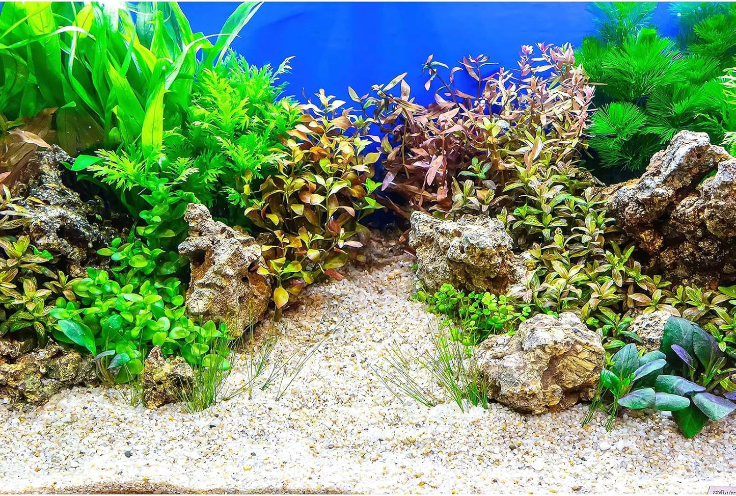 Aquarium Background Underwater Grass Leaves with Pebble Aquarium Backdrop Vivid and Fresh Green Aquatic Plant Stone River Bed and Lake Fish Tank Background Decor Vinyl 60x24in