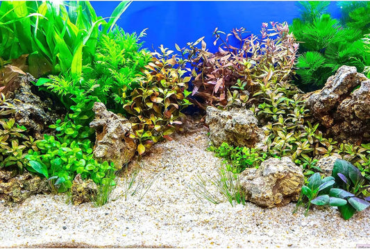 Aquarium Background Underwater Grass Leaves with Pebble Aquarium Backdrop Vivid and Fresh Green Aquatic Plant Stone River Bed and Lake Fish Tank Background Decor Vinyl 72x18in