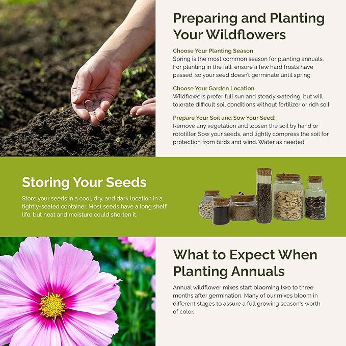 Eden Brothers Purple Rain Flower Mixed Seeds for Planting, 5 lb, 2,400,000+ Seeds with Zinnia Purple Prince & Violet Queen, Cosmos, Attracts Pollinators, Plant in Spring, Zones 3, 4, 5, 6, 7, 8, 9, 10