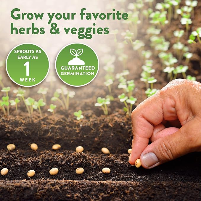 Home Grown 32,000+ Heirloom Seeds for Planting Vegetables and Herbs Bundle: 70 Unique Varieties - 100% Non-GMO Survival Seeds for Planting Indoor or Outdoors