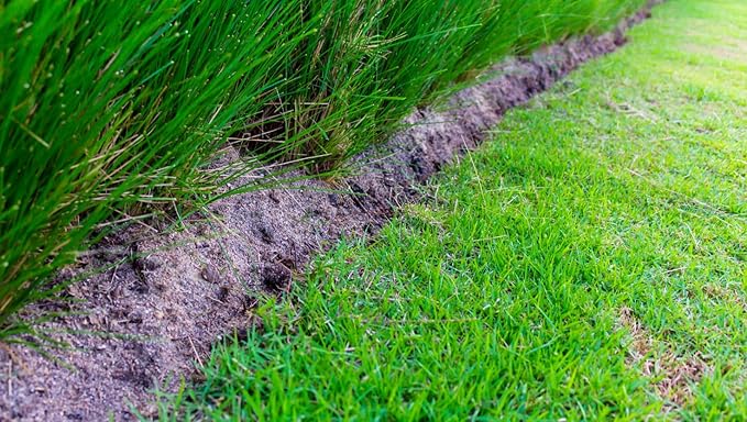 Brownie Brand Majestic Hulled Bermudagrass Seed | Premium Turf Grass for Dense, Drought-Resistant Lawns | Fast-Growing, Heat-Tolerant, Certified Seed for High-Traffic Areas. (5 Pound)
