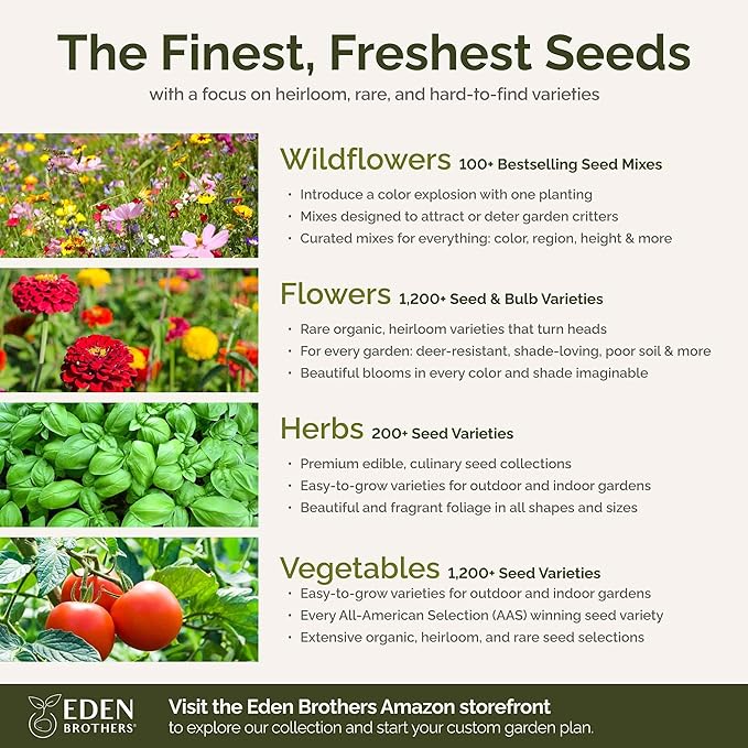 Eden Brothers Green with Envy Flower Mixed Seeds for Planting, 1 lb, 480,000+ Seeds with White Yarrow, Cornflower White | Attracts Pollinators, Plant in Spring or Fall, Zones 3, 4, 5, 6, 7, 8, 9, 10