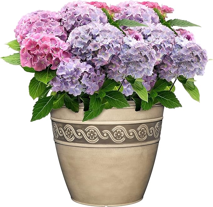 Classic Home and Garden Corinthian Resin Flower Pot Planter, Concrete Grey, 10"