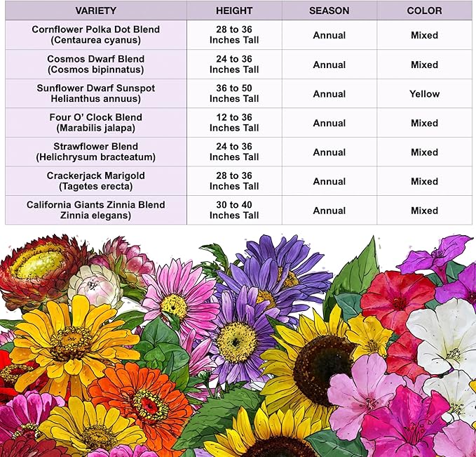 Seed Needs Garden Flower Seeds Large Blooms Mix Hummingbird and Butterfly | 5 Packs (1 Ounce Each) No Filler 7 Varieties Open Pollinated | Resealable Package Live Wild Flower Seed | Bulk