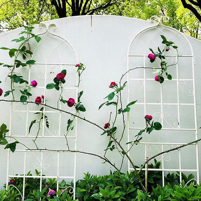 Metal Garden Trellis Rustproof Trellis for Climbing Plants Outdoor Flower Support Butterfly Deco (Cream White-4 Pack, 71"x19.7")