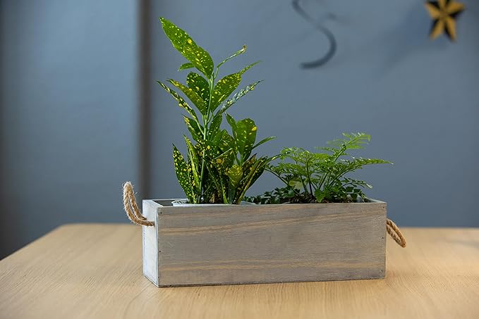 Wooden Planter Box with Handle, Rustic Barn Wood, Plastic Liner l Garden Decor l Restaurant and Wedding Decorations l Wedding Table Centerpiece (12x4 w Handle Set of 4, Natural)