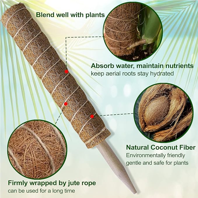 Moss Pole 36 Inch - Monstera Plant Support, 2 Pack 20.5 Inch Plant Stakes for Indoor Plants Coco Coir Moss Pole Sticks for Climbing Potted Live Plants, Pothos, Philodendron, with Garden Ties