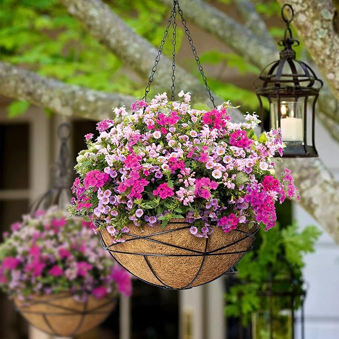 2 Pack 10 Inch Hanging Planters for Outdoor Plants Metal Wire Flower Baskets with Natural Coconut Liners for Garden Planting Decor