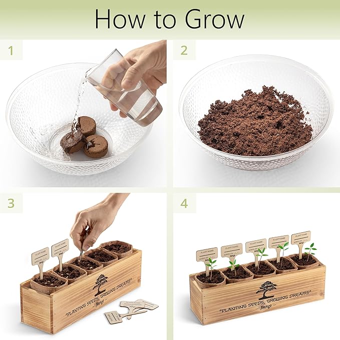 Bonsai Tree Kit – 5X Unique Japanese Bonzai Trees | Complete Indoor Starter Kit for Growing Bonsai Plants with Tools & Planters – Gardening Gifts for Women & Men