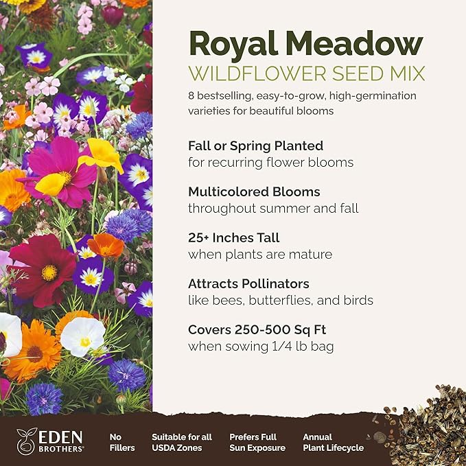 Eden Brothers Royal Meadow Flower Mixed Seeds for Planting, 1/4 lb, 120,000+ Seeds with Morning Glory, African Daisy | Attracts Pollinators, Plant in Spring or Fall, Zones 3, 4, 5, 6, 7, 8, 9, 10
