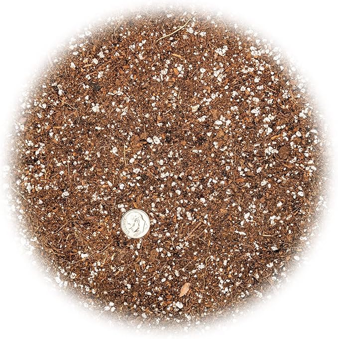 Professional Carnivorous Plant Soil - Ready to Use for Venus Flytraps, Sundews, Pitcher Plants, Butterworts | Peat Moss, Coco Coir, Perlite - 3 Quart Bag