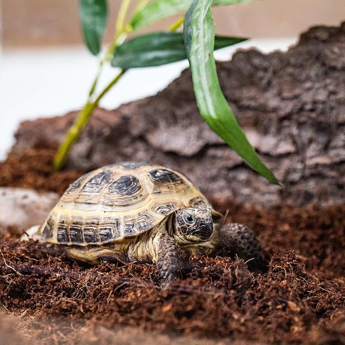 Terrarium Bedding - Custom Blend of Coco Coir, Charcoal, Pumice, and Vermiculite for Healthy Plant Growth - 20 QUARTS