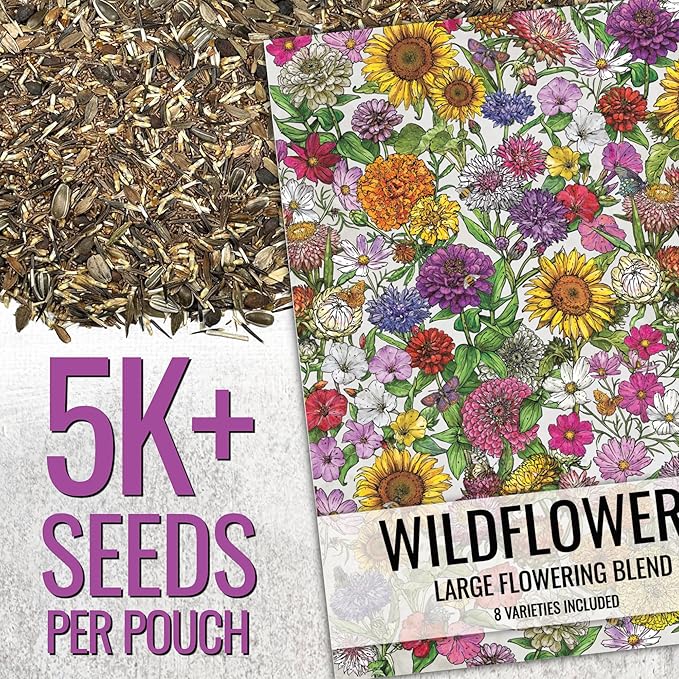Seed Needs Garden Flower Seeds Large Blooms Mix Hummingbird and Butterfly | 10 Packs (1 Ounce Each) No Filler 7 Varieties Open Pollinated | Resealable Package Live Wild Flower Seed | Bulk