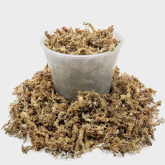 Sphagnum Moss Potting Mix for Carnivorous Plants, Moss and Perlite Blend for Potting Venus Fly Traps, Sarracenia, Pitcher Plants - 75% Sphagnum Moss + 25% Perlite - Made in USA - 1 Quart